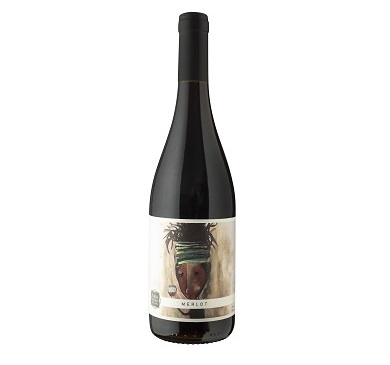 VINO CASA GRANDE MERLOT 750 ML