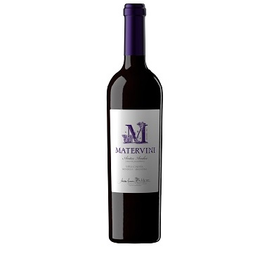 VINO MATERVINI ANTES ANDES MALBEC 750 ML